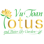Công ty TNHH Vườn sen Vũ Toàn