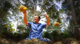 Mô hình kinh doanh hỗ trợ đầu ra cho nông sản Việt