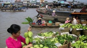 Đồng Tháp: doanh nghiệp Hàn Quốc sẽ nhập xoài Cao Lãnh
