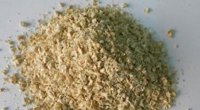 Xuất khẩu phế phẩm nông nghiệp: Cùi bắp xuất ngoại