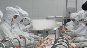 128 doanh nghiệp thủy sản xuất khẩu vào Brazil