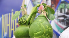 Nông dân miền Tây mang bưởi hình bản đồ giới thiệu ở Hà Nội
