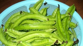 Bài thuốc đơn giản chữa khỏi bệnh đau dạ dày bằng đậu rồng