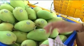 Trái cây xuất khẩu: Còn nhiều thách thức