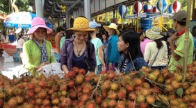 Lễ hội trái cây Nam bộ năm 2015: Sẽ có nhiều loại trái, quả độc đáo