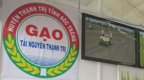 Đăng ký thương hiệu gạo Tài Nguyên Thạnh Trị