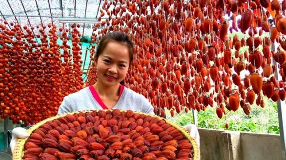 Hồng Đà Lạt sấy bằng công nghệ Nhật Bản: Ruột đặc quánh, mật ngọt