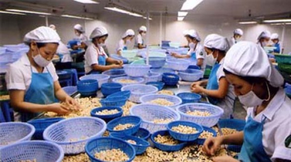 Xuất khẩu nông lâm thủy sản năm 2015 đạt 30,14 tỷ USD