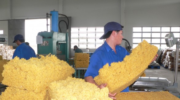 Tìm hướng đẩy mạnh tiêu thụ cao su thiên nhiên