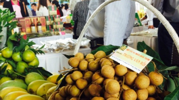 100 tấn nhãn Đồng Tháp xuất sang Mỹ