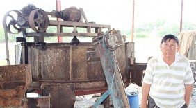 Mang cá sạch Việt Nam ra khắp thế giới