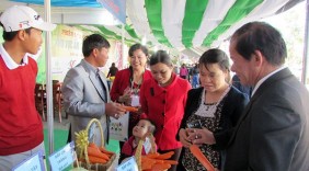 Phân biệt rau quả Việt Nam - Trung Quốc thu hút nhiều người dân