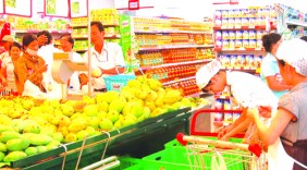Xoài Việt: Tiềm năng lớn tại thị trường Nhật Bản