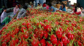 Kỳ vọng rau quả Việt Nam