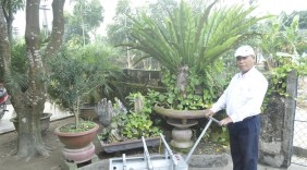Máy cắt tỉa cây cảnh đa năng