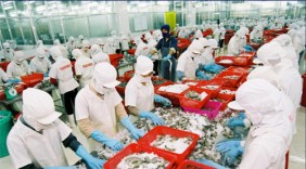 Thủy sản trước hội nhập: Nhiều cơ hội, lắm gian nan