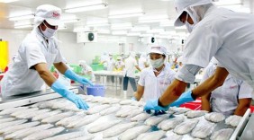 Giấy thông hành cho hàng Việt vào FTA