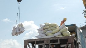 “Mở đường” cho gạo Việt vào Mexico