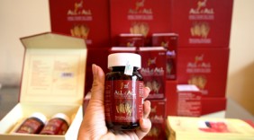 Đông trùng hạ thảo made in Việt Nam All & All