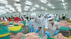 Xuất khẩu thủy sản sẽ khởi sắc