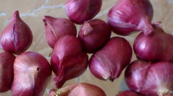 CÔNG DỤNG CỦA CỦ HÀNH TÍM CỰC TỐT CHO SỨC KHỎE