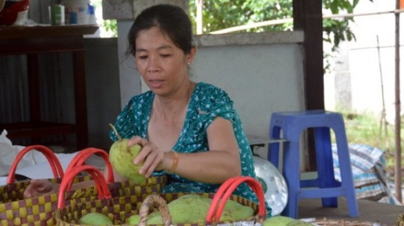 Xoài sạch được 