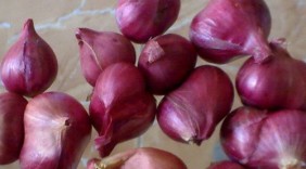 CÔNG DỤNG CỦA CỦ HÀNH TÍM CỰC TỐT CHO SỨC KHỎE