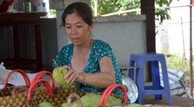 Xoài sạch được 