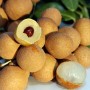 5 dấu hiệu nhận biết nhãn lồng Hưng Yên 