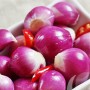 Hành tím Vĩnh Châu rớt giá, đời sống nông dân bấp bênh