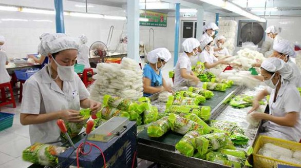 Xuất khẩu hơn 526 triệu USD rau quả trong 3 tháng