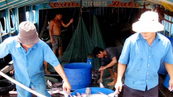 Xuất khẩu cá tra tăng trở lại