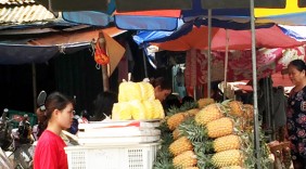 Tiểu thương thành phố Vinh 