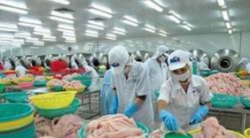 Cá tra Việt Nam tiếp tục được xuất khẩu vào Panama