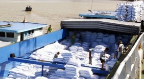 Thị trường xuất khẩu gạo 2016 tiếp tục diễn biến khó lường
