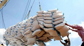 WTO: Việt Nam là nước duy nhất xuất khẩu tăng trong năm 2015