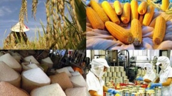 Ngành Nông nghiệp Việt Nam: Sẵn sàng bước vào 'đấu trường' TPP