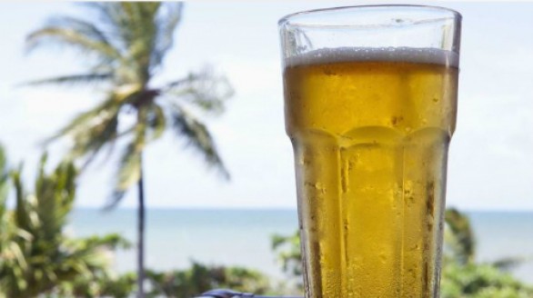 Uống nửa lít bia mỗi ngày giúp bảo vệ tim mạch