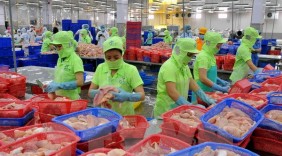 Cung cấp dịch vụ hỗ trợ miễn phí đối với hàng Việt xuất sang Thụy Điển