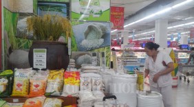 “Hàng Việt trong tim người Việt” tại Big C