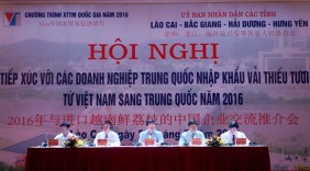 Xúc tiến tiêu thụ vải thiều với các doanh nghiệp Trung Quốc