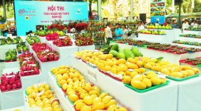 Ngành du lịch TPHCM tôn vinh trái cây Việt