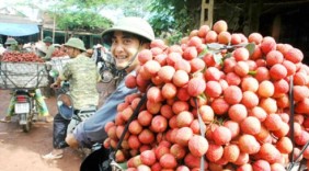 Hà Nội và Bắc Giang hợp tác tiêu thụ hàng hóa, nông sản