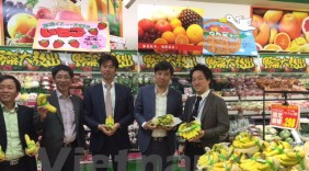 Chuối Việt Nam chinh phục ngoạn mục thị trường Nhật Bản