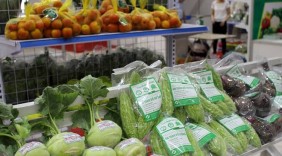 Phiên chợ Nông sản an toàn và vật tư nông nghiệp đầu tiên ở Hà Nội