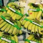 Chuối Việt Nam chinh phục ngoạn mục thị trường Nhật Bản
