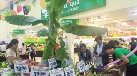 Ngày hội giảm giá và dùng thử miễn phí trái cây tại Co.opmart