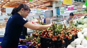 Saigon Co.op lên kế hoạch tiêu thụ 500 tấn vải tươi cho nông dân