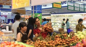 Bắc Giang tổ chức tuần lễ tiêu thụ vải thiều Lục Ngạn tại Hà Nội