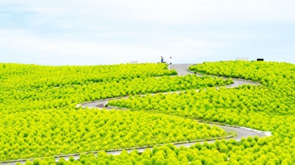 Những điều không bao giờ được quên